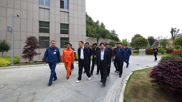 202004081586315037196483.jpg 7.jpg