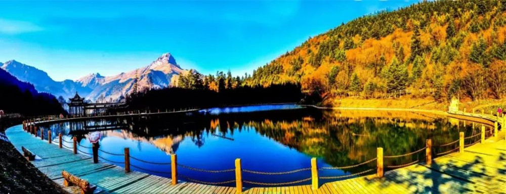 202301061672992789472810.jpg 3.jpg