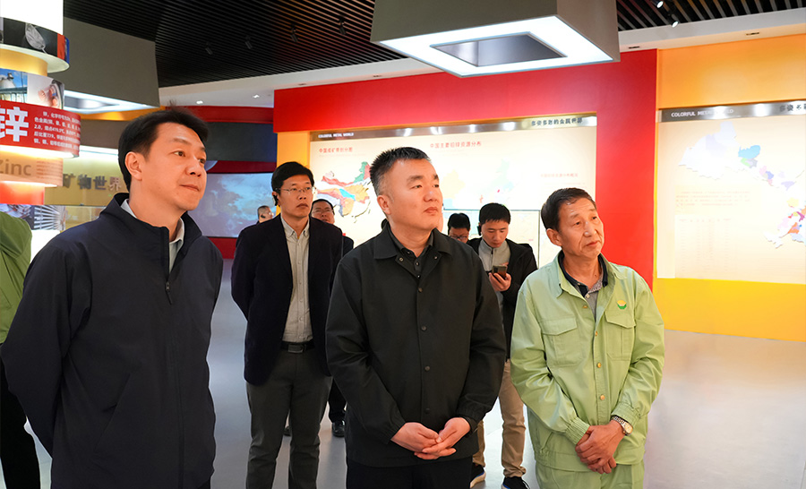 10.4-2024年04月，自然資源部礦保司副司長(zhǎng)王博蒞臨公司調(diào)研。.jpg